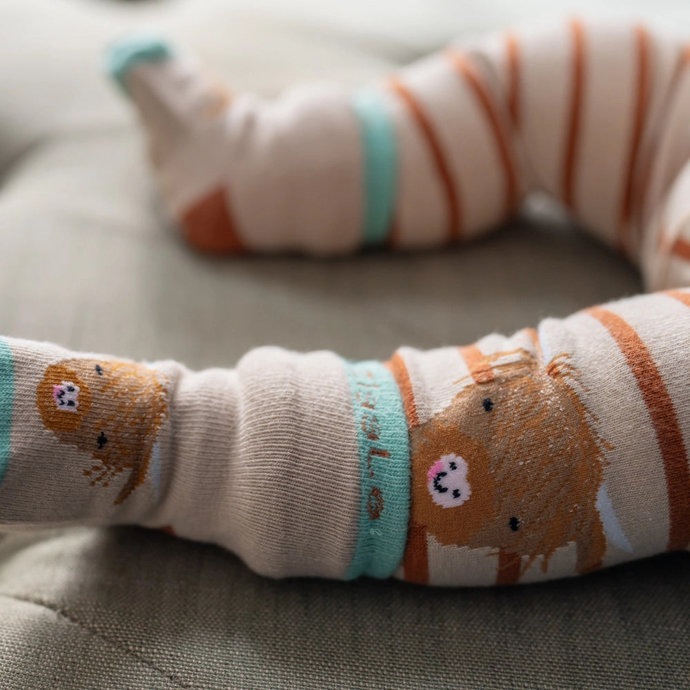 Highland Cow Leggings & Socks Set 0-6 Months
