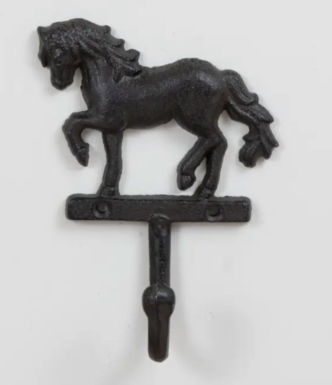 horse animal hock