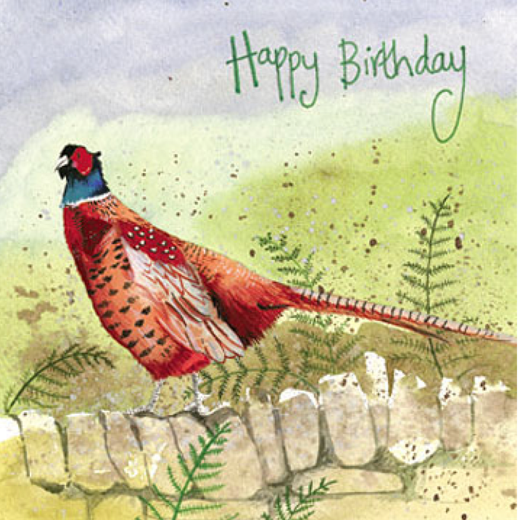 Pheasant On The Wall Blank Card