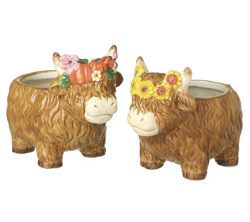 flowery highland cow pot mix