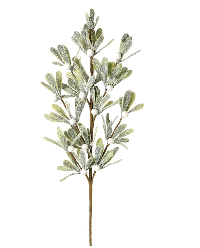 mistletoe spray