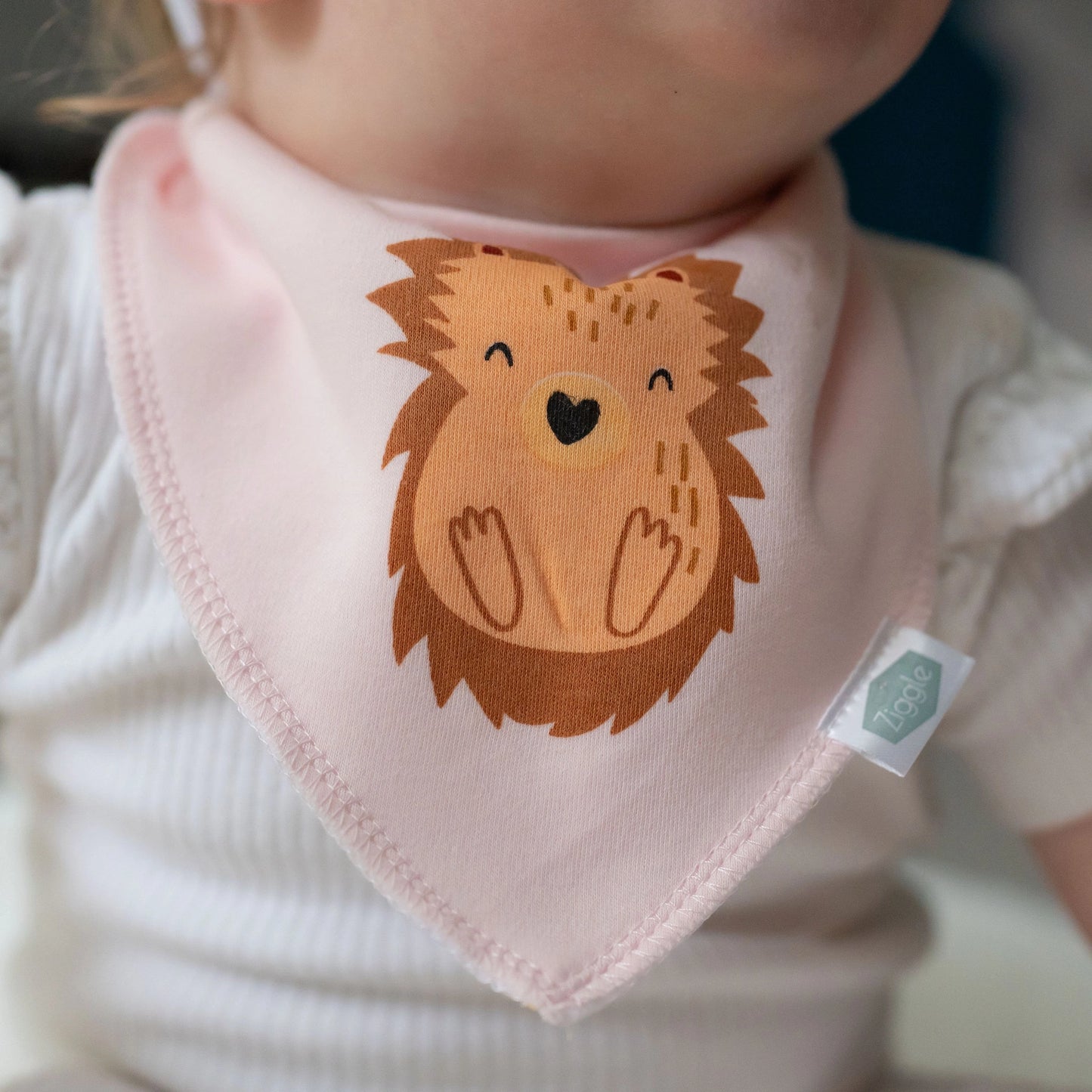 Hedgehog Bib