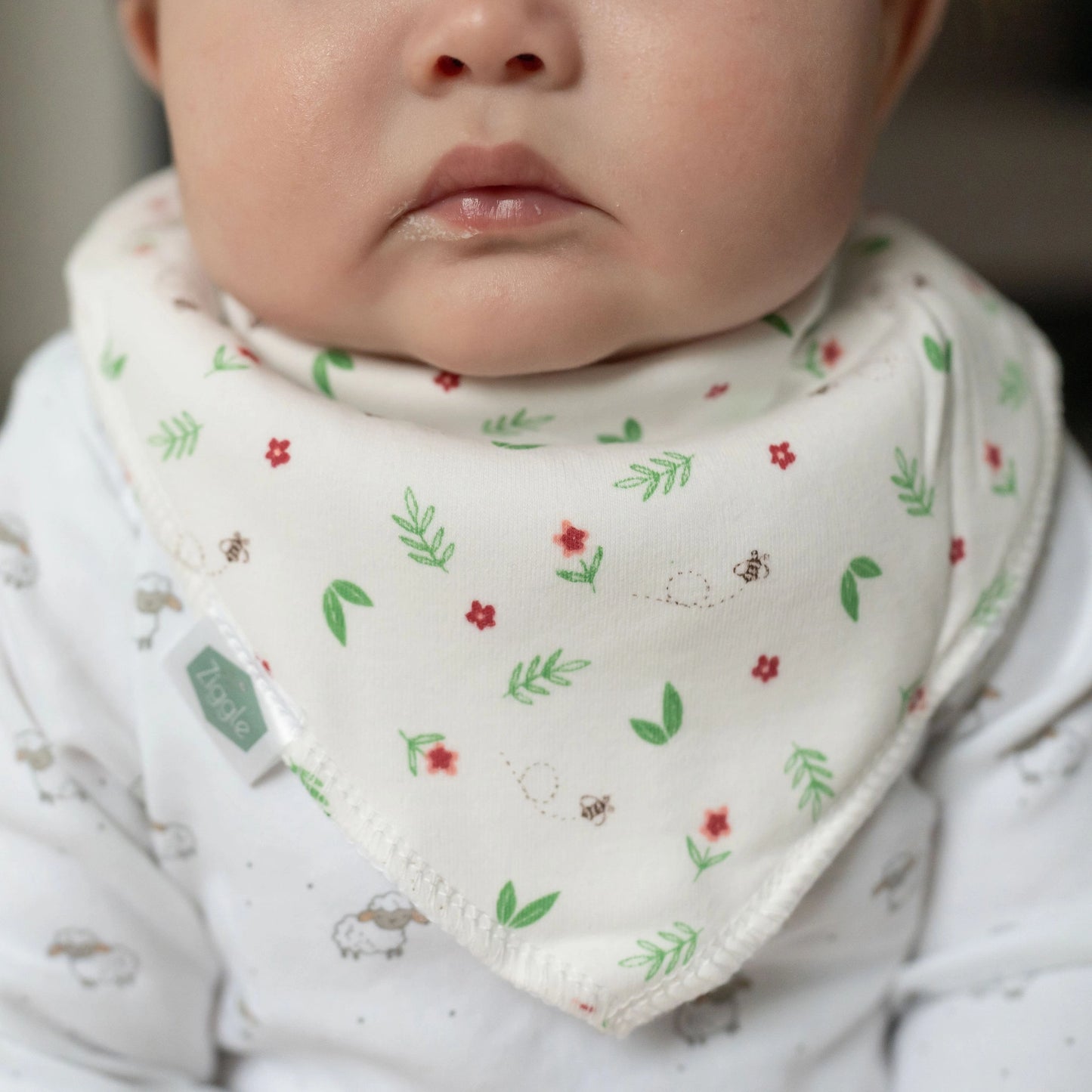 Flowers & Ferns Bib
