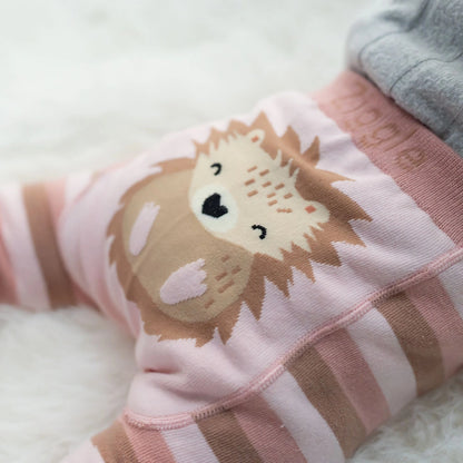 Hedgehog Leggings & Socks Set 0-6 months