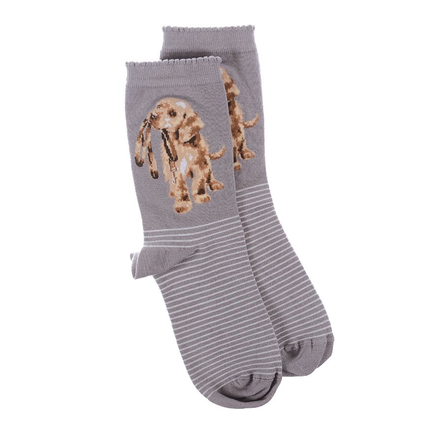 'HOPEFUL' LABRADOR SOCKS image 0
