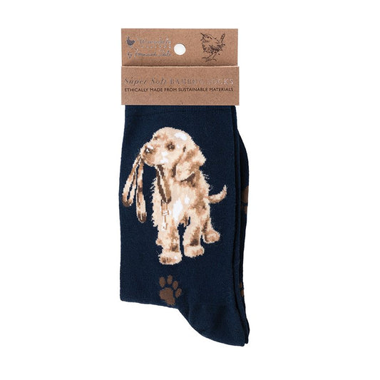 'HOPEFUL' SOCKS image 0