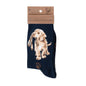 'HOPEFUL' SOCKS image 0