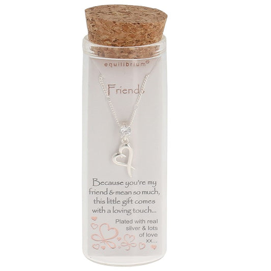 Message In A Bottle Silver Plated Necklace Friends