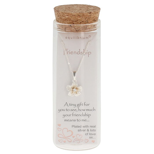 Message In A Bottle Silver Plated Necklace