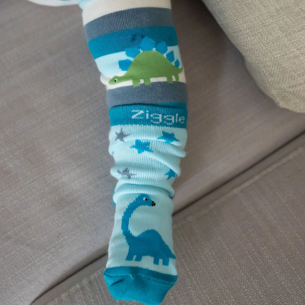 Dinosaur Boxed Sock Set 6-12 Months
