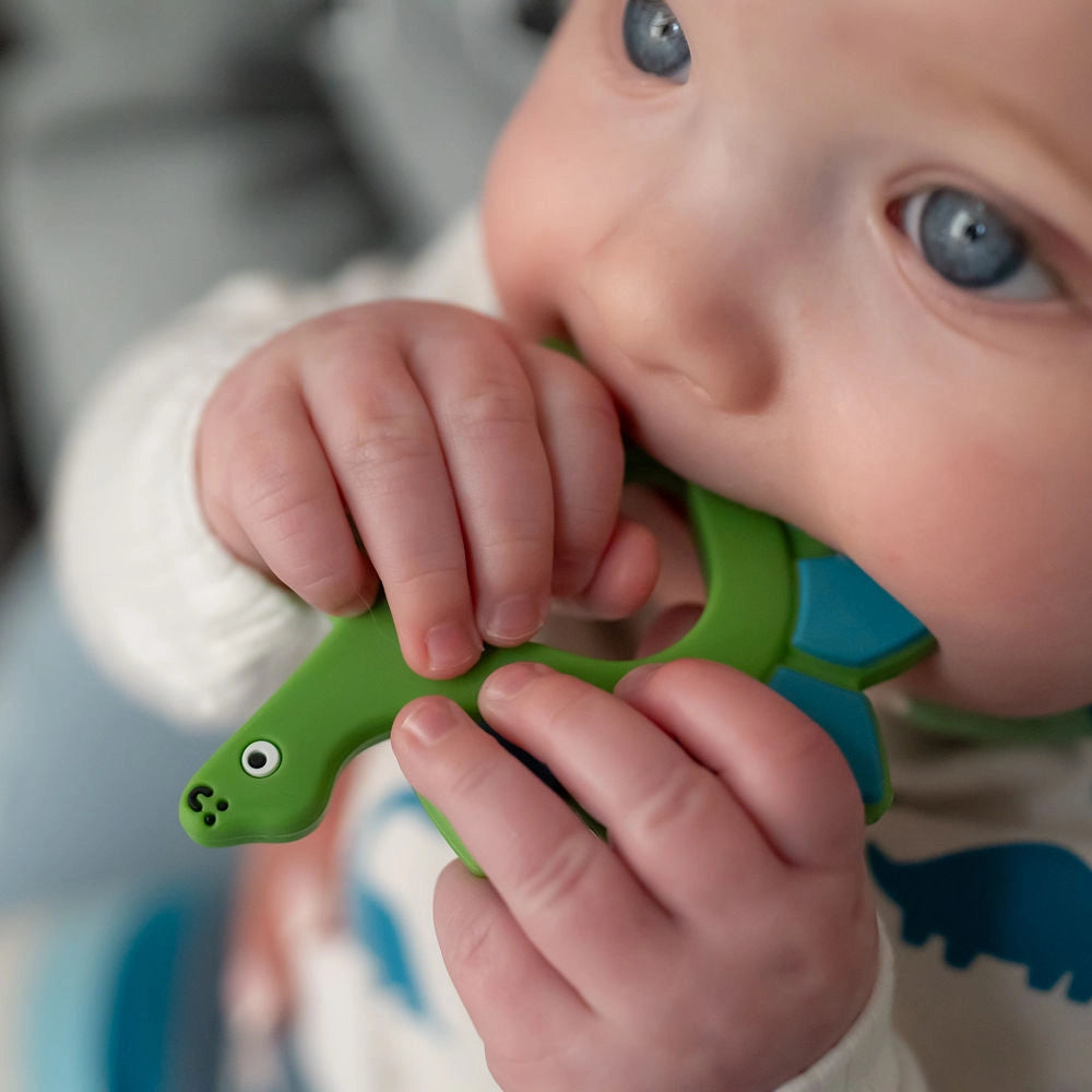 Dinosaur Teether