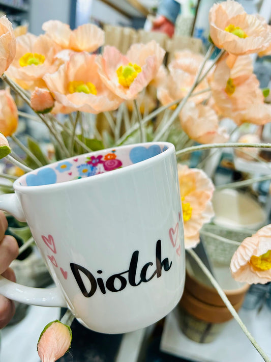 Diolch Mug