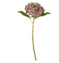 small head hydrangea dusky pink