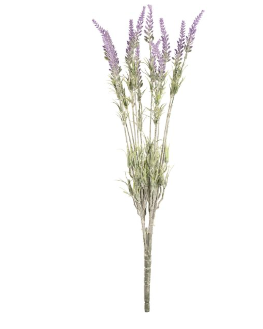 lavender bush x12 branches