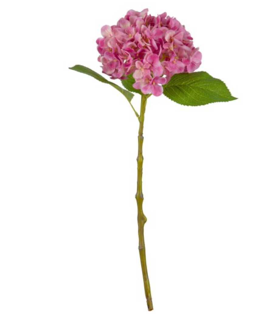 small head hydrangea pretty pink
