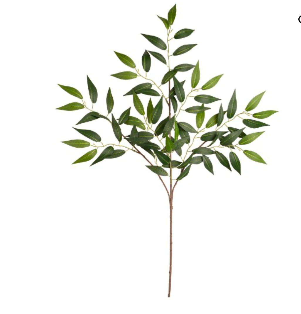 ruscus spray