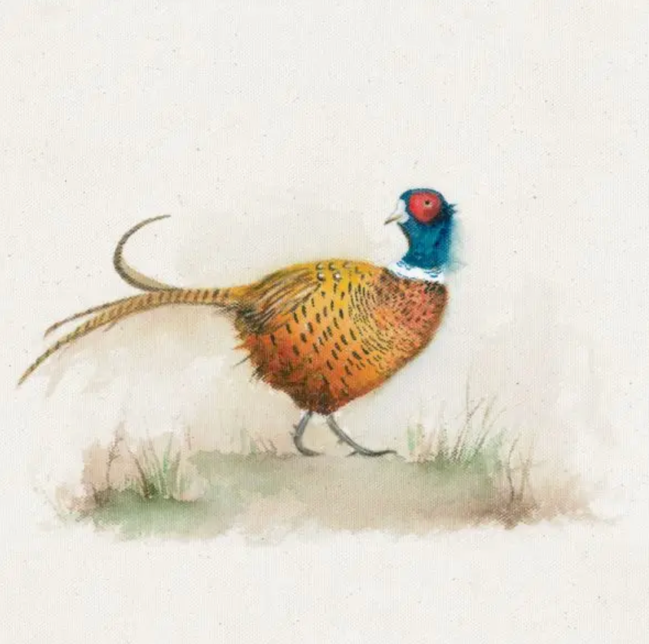 The gentle pheasent greeting card