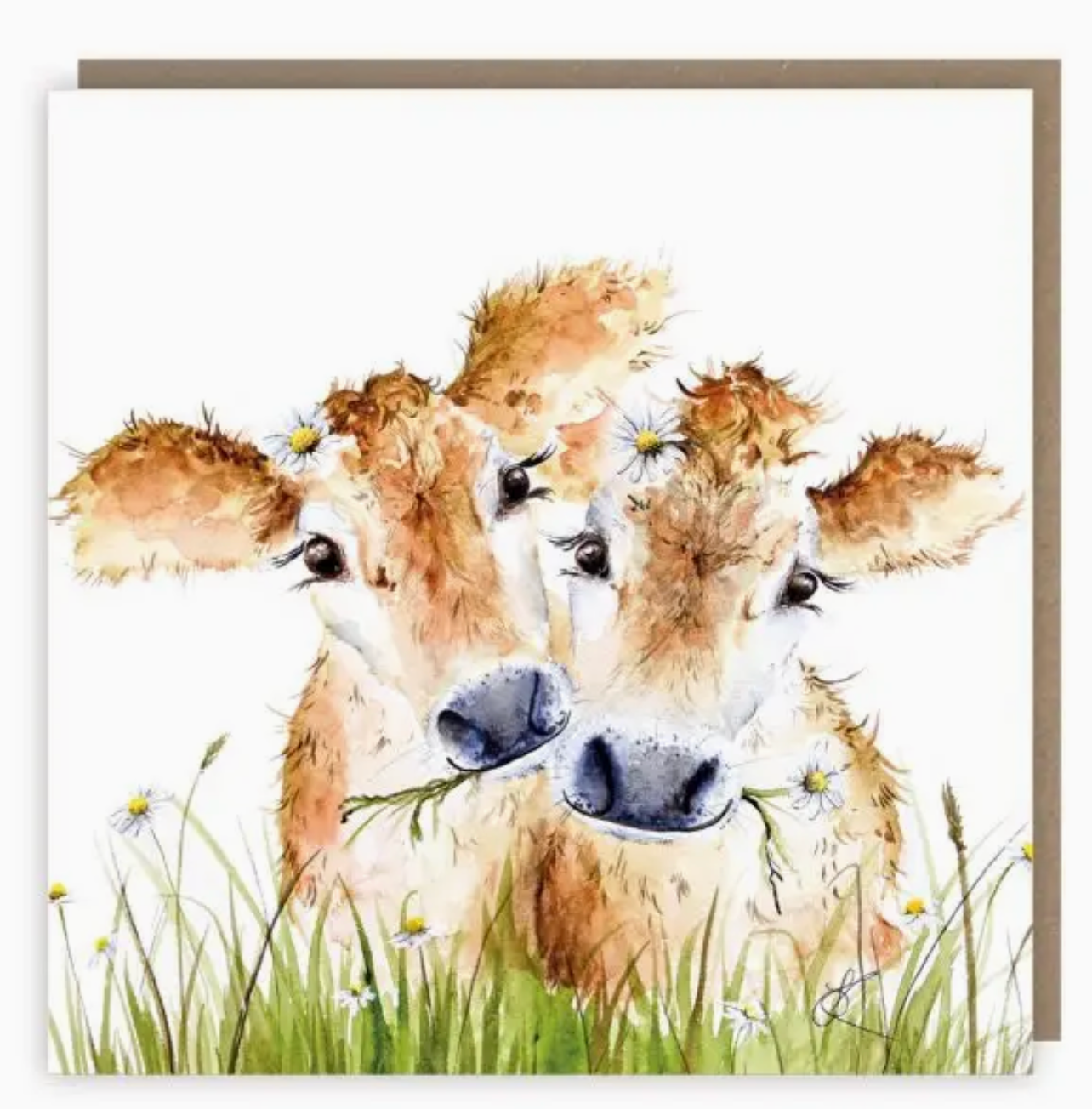 Daisy moo greeting card