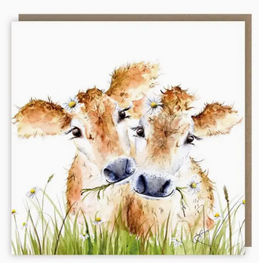Daisy moo greeting card