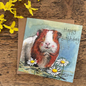 Gorden Birthday Card