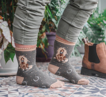 Horse sock gloria