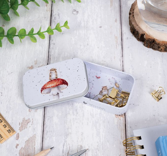 Mouse mini tin hes a fungi