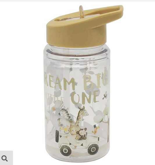 dream big drinks bottle