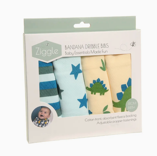 dino and star bib set