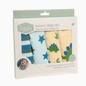 dino and star bib set