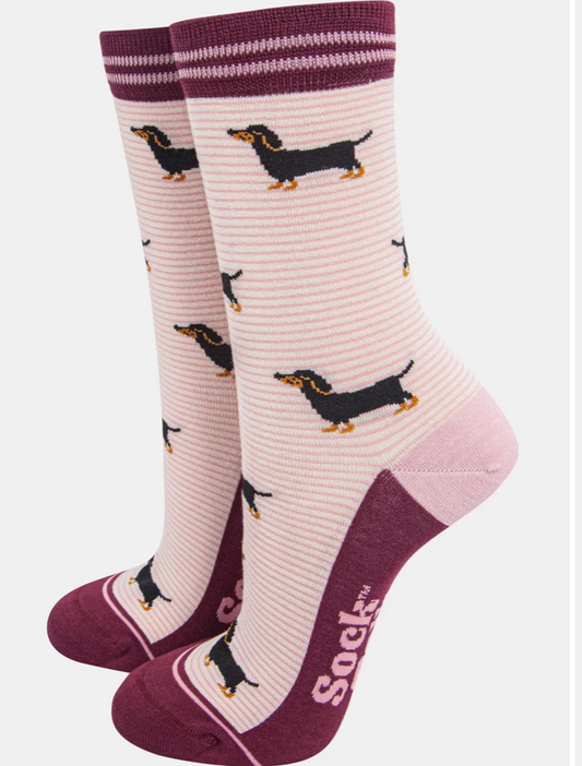womans bamboo socks - cream/berry sausage dog stripes