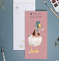 duck shopping pad not a daisy goes by