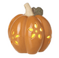 pumpkin t light holder