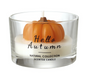 hello autumn candle