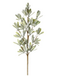 mistletoe spray