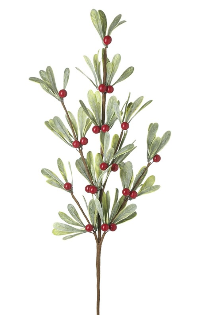 green leaf spray with red berries
