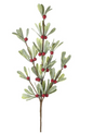 green leaf spray with red berries