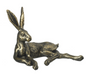 lounging hare