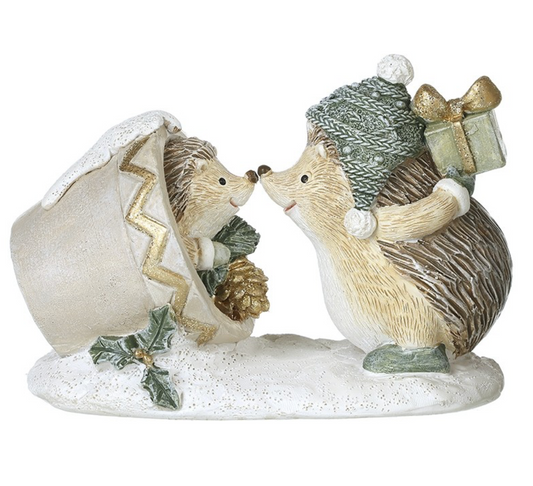 hedgehog with baby in plant pot