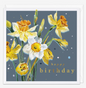 Daffodils birthday card