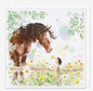 field friends art card