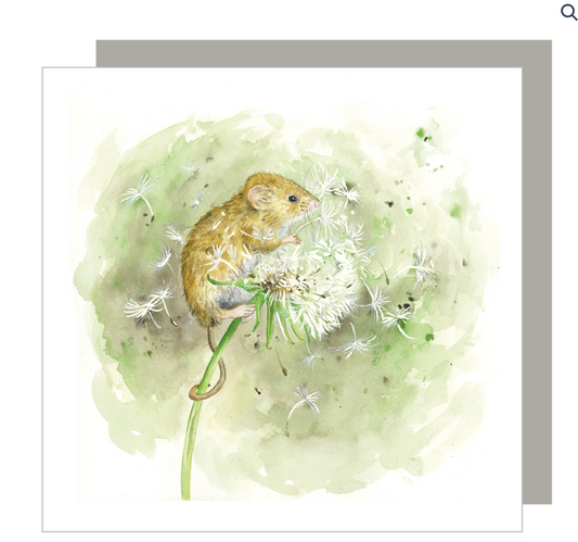 Make a Wish Greeting Card