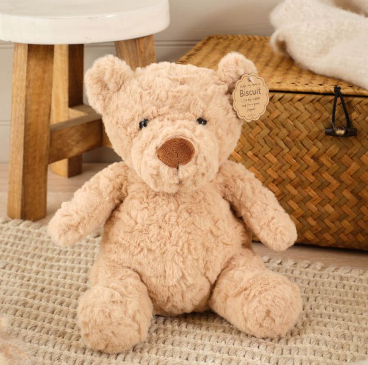 biscuit the bear plush soft toy