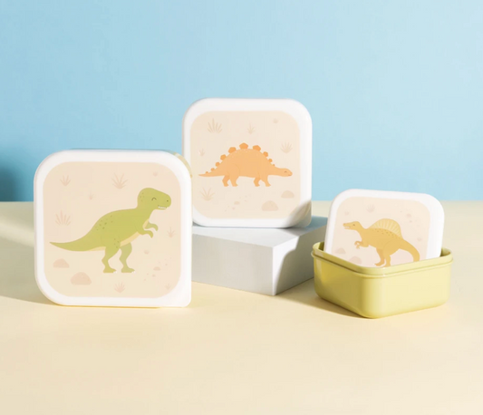 Desert Dino Lunch Boxes Set of 3