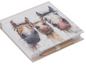 Shirley MacArthur Unsaddled Memopad