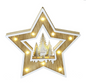 Natural Plywood Star Scene Light Up