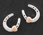 Equestrian Lucky Horseshoe Two Tone Earrings