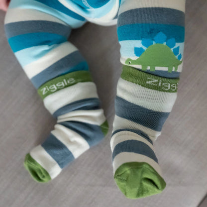 Dinosaur Boxed Sock Set 6-12 Months