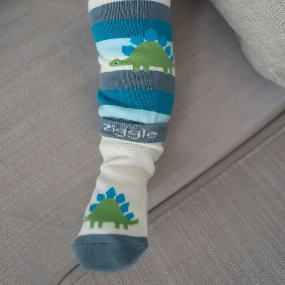 Dinosaur Boxed Sock Set 6-12 Months